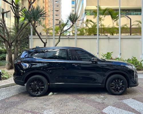GWM Haval H6 Hev2 blind -3