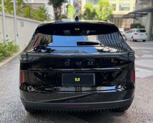 GWM Haval H6 Hev2 blind -6